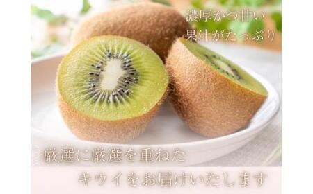 ＜11月より発送＞厳選 キウイ5kg+250g（傷み補償分）【扁平果】 / 和歌山 フルーツ 果物 くだもの 旬 キウイフルーツ キウイ 栄養たっぷり【ikd711A】