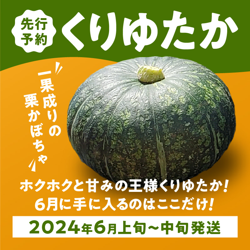 【2025年先行予約】春かぼちゃ（くりゆたか）4玉（6kg以上）　C062-003-02