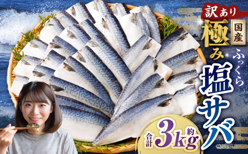
            【訳あり】国産 ふっくら 極み塩サバ 計約3kg ／ 1切れ 塩サバ 塩さば 塩鯖 さば サバ 鯖 魚
          