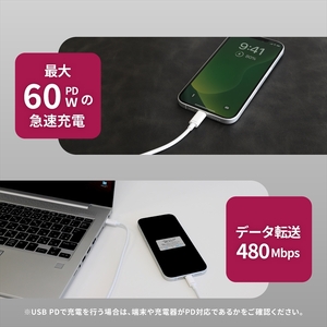 ケーブル オウルテック タイプC toライトニング 耐屈曲1万回 PD60W充電 1.2m ホワイト | ケーブル 充電ケーブル