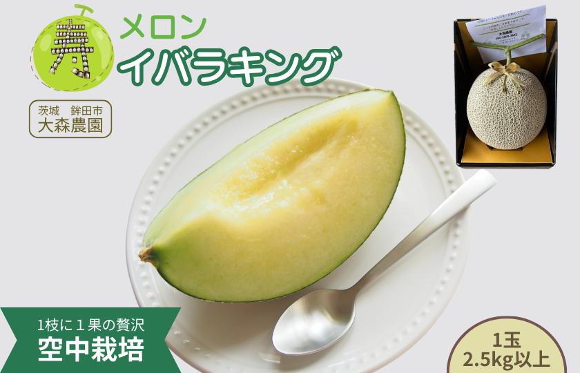 
                  寿メロン 「空中栽培」で栽培した贅沢な イバラキングメロン アンテナ付き 1玉 2.5kg以上 メロン 大森農園 贈答用 ギフト プレゼント 先行予約 フルーツ先行予約 メロン先行予約
 
                