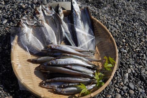 香酸柑橘と海洋深層水で美味しく減塩 減塩干物セット【やまと石】