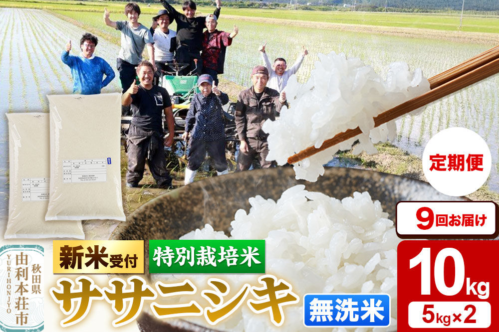 《令和8年産 新米受付》《定期便9ヶ月》【無洗米】特別栽培米 ササニシキ 10kg（5kg×2袋） 秋田県産 [ササニシキ 新米予約 先行予約 米 お米 こめ 無洗米 精米 ブランド米 食卓 おにぎり