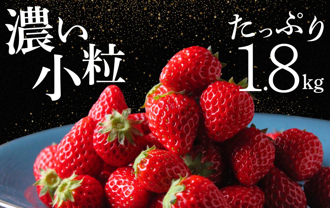 
                  【2027年発送】 いちご 小粒いちご 約1.8kg 紅ほっぺ こだわり いちご 大容量 イチゴ strawberry 苺 新鮮 朝摘み 朝採り 産直 産地直送 安心安全 ichigo itigo いちご 苺 果物 フルーツ くだもの ギフト プレゼント 贈物 贈答 ケーキ ふるさと納税 ふるさと納税苺 いちご 静岡県 南伊豆町 南伊豆ファーム　<BD-15>
                
