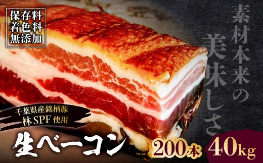 
                  生ベーコン【保存料・着色料無添加】《国産銘柄豚 林SPFプレミアムポーク 豚バラ》200本 40kg 【ベーコン 豚バラ 燻製 冷燻 林SPF 豚 豚肉 肉 お肉 冷凍 おかず ベーコンエッグ 朝食 パスタ ペペロンチーノ カルボナーラ サンドイッチ】
                