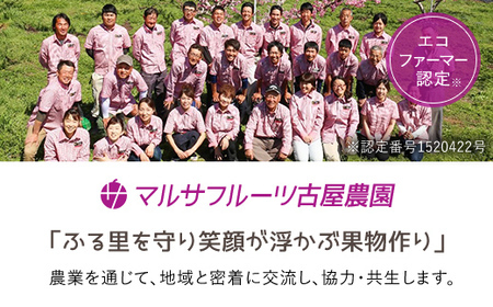 ＜2024年先行予約＞山梨一宮産の桃  5～8個入約2kg  朝採り産地直送 088-013