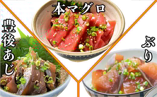 [1月発送開始]＜定期便・全3回＞大分郷土料理りゅうきゅう全9種を3回に分けてお届け！(3種×2食×3回) 刺身 冷凍 セット 海鮮 漬け 産地直送 大分県 真空パック 小分け 惣菜 人気 海鮮丼 漬