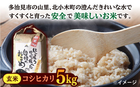 【令和5年産：玄米】 特別栽培米 コシヒカリ （5kg） + 【美濃焼】 赤絵かいらぎ 煎茶碗 （2個） 【山松加藤松治郎商店】[TEU018]