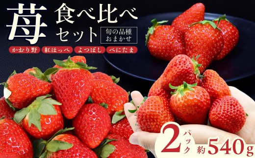 いちご 厳選いちご 2種類 食べ比べセット 1箱(270g×2) 3月発送 かおり野 紅ほっぺ よつぼし べにたま | いちご 苺 ストロベリー かおり野 紅ほっぺ よつぼし べにたま 季節限定 食べ比べ 果物 くだもの フルーツ 野菜 美味しい おいしい 甘み ほのかな酸味 デザート スイーツ ギフト 贈り物 ビタミン 苺ファームあおき 埼玉県 久喜市