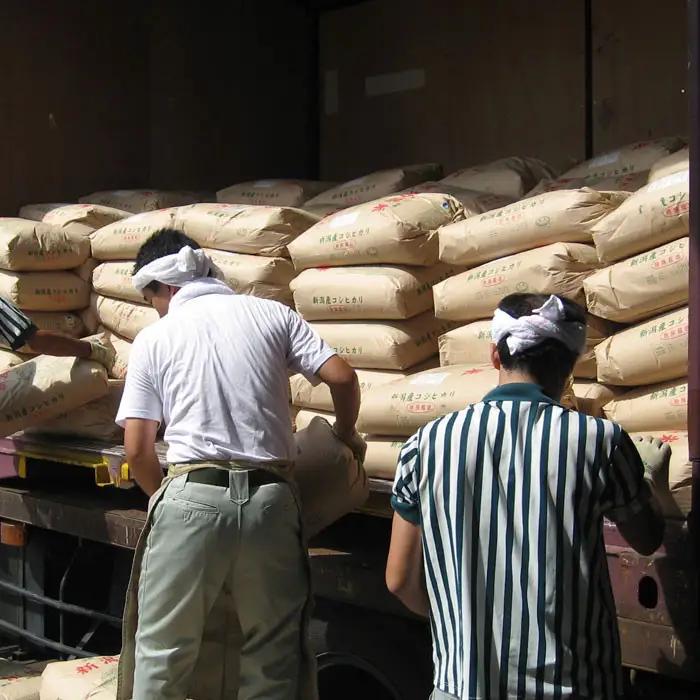 【令和7年産】新潟産コシヒカリ 10kg（5kg×2袋）白米 精米