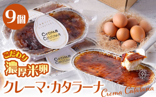 【こだわり濃厚米卵！】クレーマ・カタラーナ セット 9個 デザート スイーツ お菓子 アイス ギフト クレームブリュレ カタラーナ 【氷窯アイス こめたま】 [GF01] アイス あいす アイスクリーム あいすくりーむ 手土産 くりーむぶりゅれ