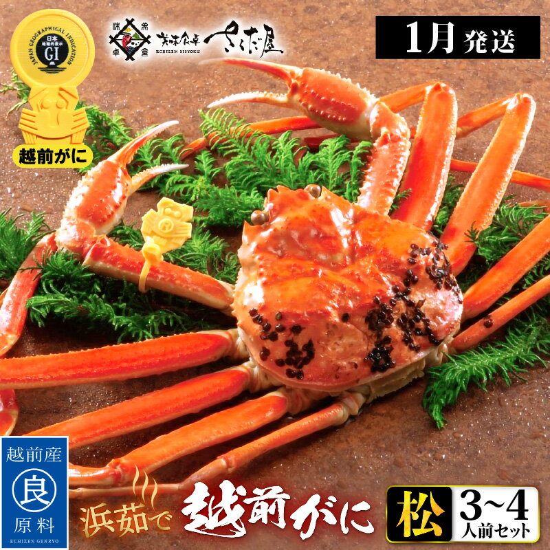 【ふるさと納税】浜茹で 越前がに≪松セット≫3〜4人前 かに酢 食べ方しおり スプーン付き【雄 ズワイガニ ずわいがに 姿 ボイル 福井県】【選べる杯数！1〜4杯】【1月発送分】希望日指定可 備考欄に希望日をご記入ください [e04-x007_01]