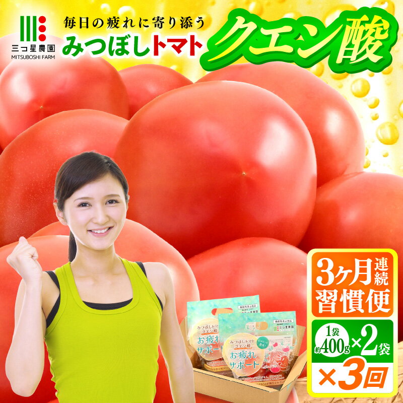 【ふるさと納税】定期便 ≪3ヶ月連続お届け≫ クエン酸トマト習慣便 みつぼしトマト クエン酸 約400g × 2袋 × 3回 (計2.4kg) とまと トマト 生鮮トマト 健康 機能性表示食品 野菜 生野菜 新鮮 産地直送 国産