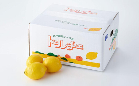 【レモン島から贈る】安心の国産レモン6kg 2026年1月15日より順次発送