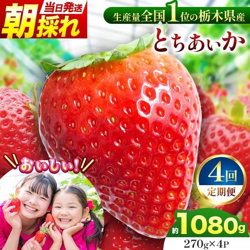 【定期便4回】那珂川町産とちあいか　朝採れ当日発送 270ｇ×4Ｐ