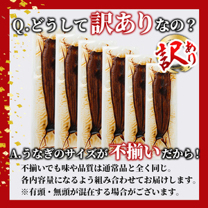 【訳あり】鹿児島県産！秘伝のスタミナうなぎ蒲焼き＜計300g以上/2尾以上＞肝吸いセット！ にんにく黒酢パワーで丸々太った美味しい鰻！ うなぎ ウナギ 鰻 蒲焼き スタミナ 黒酢 ニンニク 不揃い 鹿