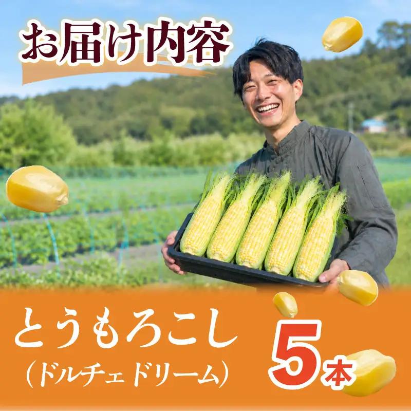 【とうもろこし 5本 】11月発送  ドルチェドリーム  静岡 県 牧之原市 t.p.C farm 堀内農園 