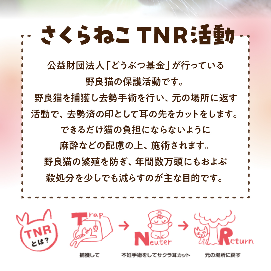 メール便発送【訳あり】野良猫保護支援 さくらねこ ブレンドコーヒー 富士山の湧き水で磨いた スペシャルティコーヒー 粉 400g