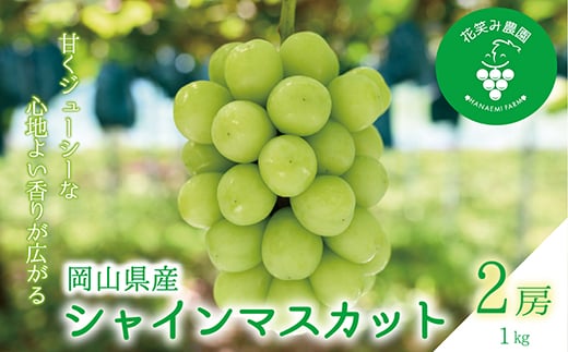 
                  岡山　花笑み農園の 『シャインマスカット』1kg (2房) S-1【1650754】
                