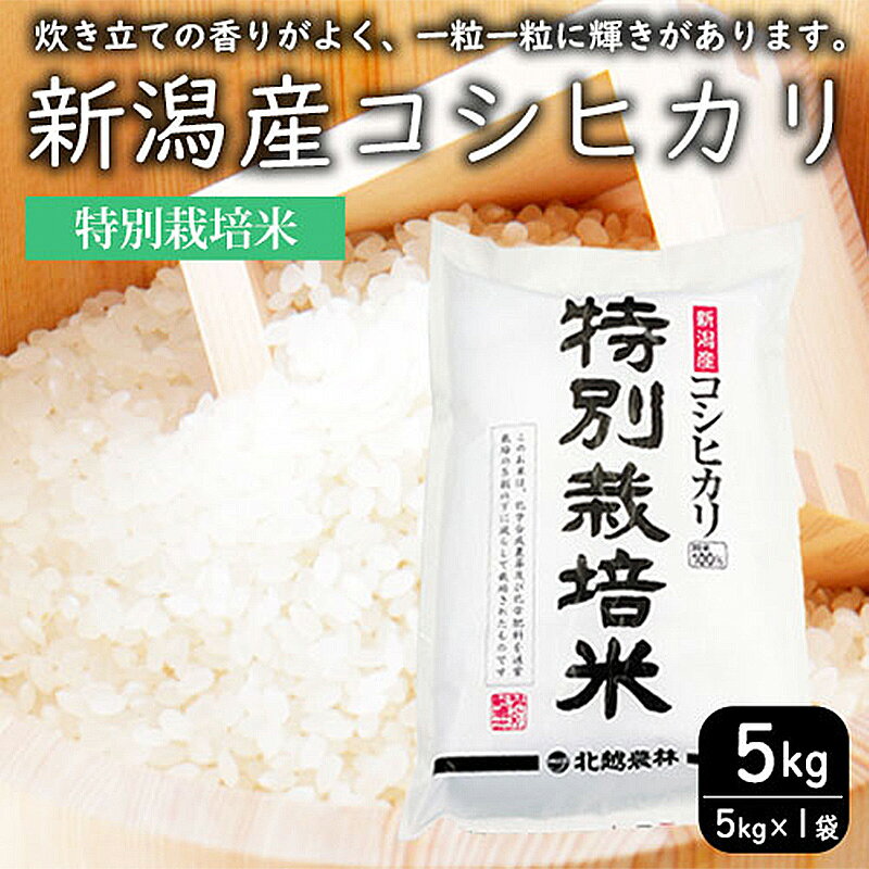 【ふるさと納税】特別栽培米新潟産コシヒカリ5kg 米 お米 こめ コメ ごはん 新潟 白米 コシヒカリ ブランド米 銘柄米 お取り寄せ 産地直送　お届け：入金確認後、約2週間～1ヶ月でお届け