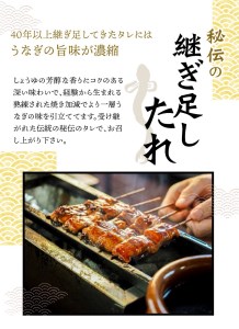 【大型サイズ】ふっくら柔らか 国産うなぎ蒲焼き 2尾【uot302-3】