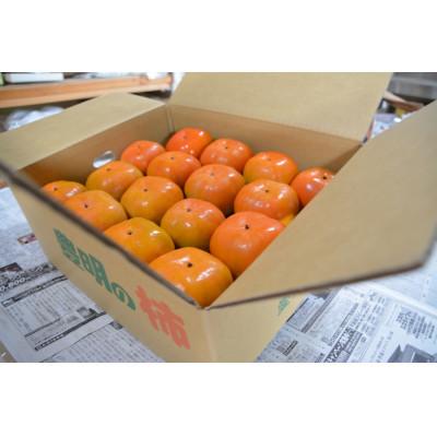 ふるさと納税 豊明市 秋の味覚 とよあけしの次郎柿 7.5kg(柿28〜32個前後) |  | 01