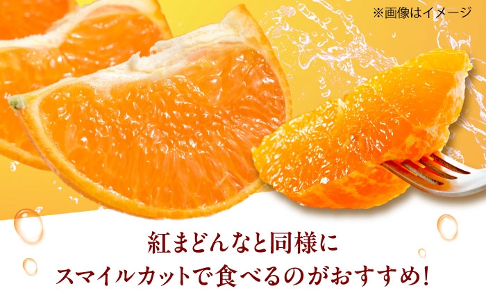柑橘 蜜柑 みかん ミカン みかんジュース 愛果48号 3kg 甘い 愛媛 贈答