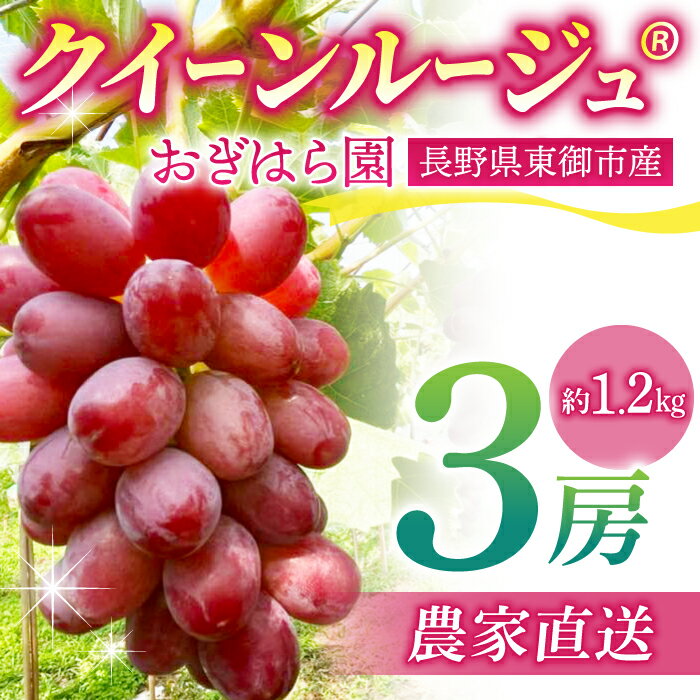 【ふるさと納税】先行受付2025年発送【おぎはら園】農家直送！朝採れクイーンルージュ®3房（約1.2kg）※2025年9月下旬～10月中旬順次発送
