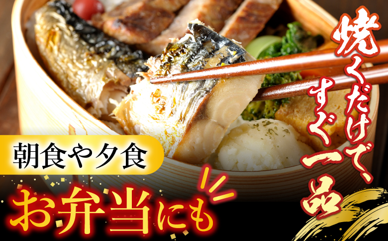[個包装]塩さばフィレ1枚×35P(計3.15～3.5kg) B-09032