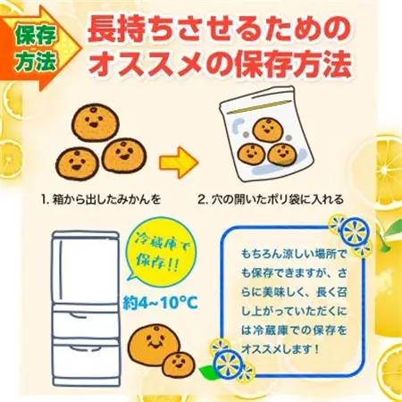 益城町産　温州みかん　約5kg【1352231】