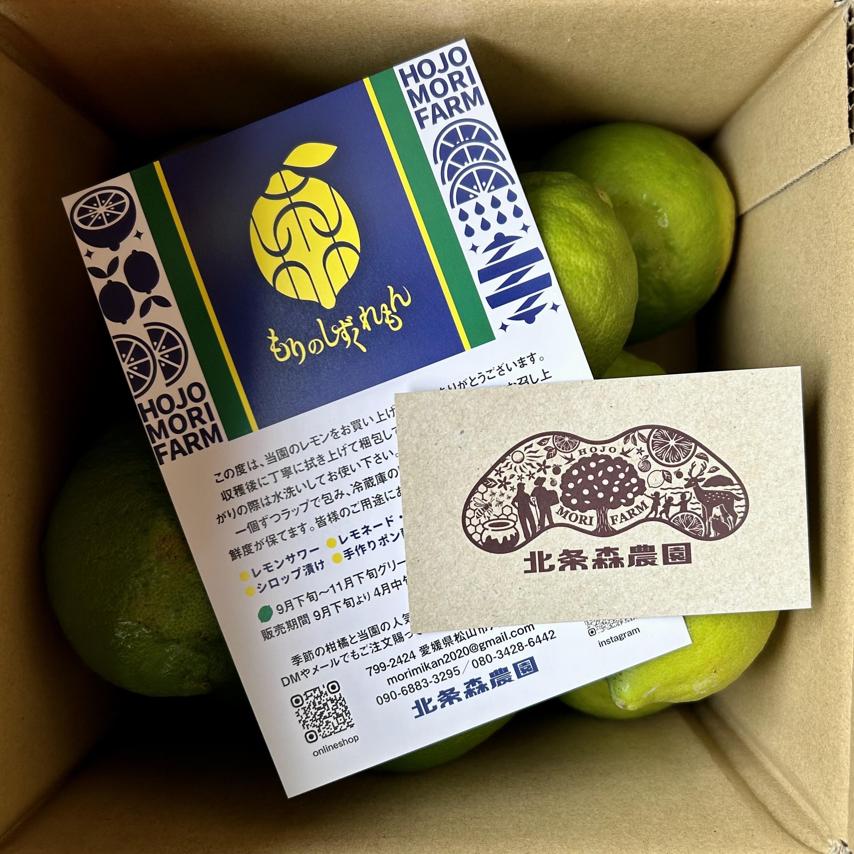 【2026年10月上旬頃より順次発送】数量限定 もりのしずくれもん  1.5kg 国産 | グリーンレモン イエローレモン