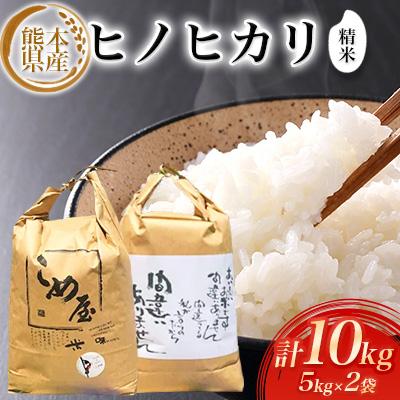 ふるさと納税 玉名市 熊本県産ヒノヒカリ(精米) 5kg×2個