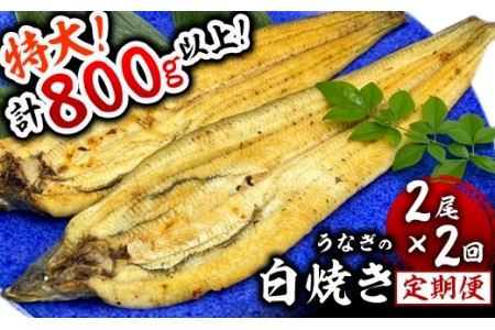 ＜定期便2回＞ うなぎ白焼き 計800g (200g×2尾×2回)