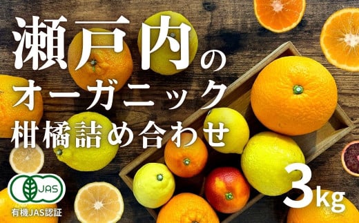国産 オーガニックフルーツ詰め合わせ 3kg レモン ブラッドオレンジ はるか 不知火 紅八朔 有機JAS認証 選べるサイズ 瀬戸内 広島 大崎上島 離島 有機栽培 安心 安全 オーガニック 柑橘 濃厚 果物 ギフト 3月発送 限定 産地直送 中原観光農園