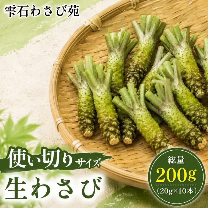 栽培期間中は農薬や化学肥料、不使用！雫石わさび苑｜わさび 使い切り 約20g 10本 ／山葵 野菜