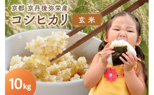 玄米 10kg【先行予約】丹後弥栄産コシヒカリ（玄米10kg）しんたにファーム　2026年産（令和8年産）2026年6月下旬～発送　NF00008