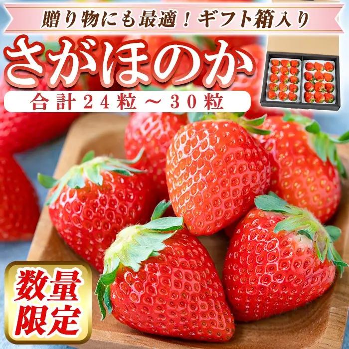 a881-01 【平日着】＜先行予約受付中！2027年2月上旬～3月下旬に発送予定＞ いちご・さがほのか(合計24粒～30粒)【佳農園】国産 鹿児島県産 苺 イチゴ フルーツ 果物 くだもの ギフト 贈答用