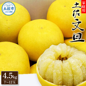 生産者直送 土佐文旦 家庭用 2L～4Lサイズ 約4.5kg 高知県土佐市 【土佐文旦産直協同組合】 [BQAH001]