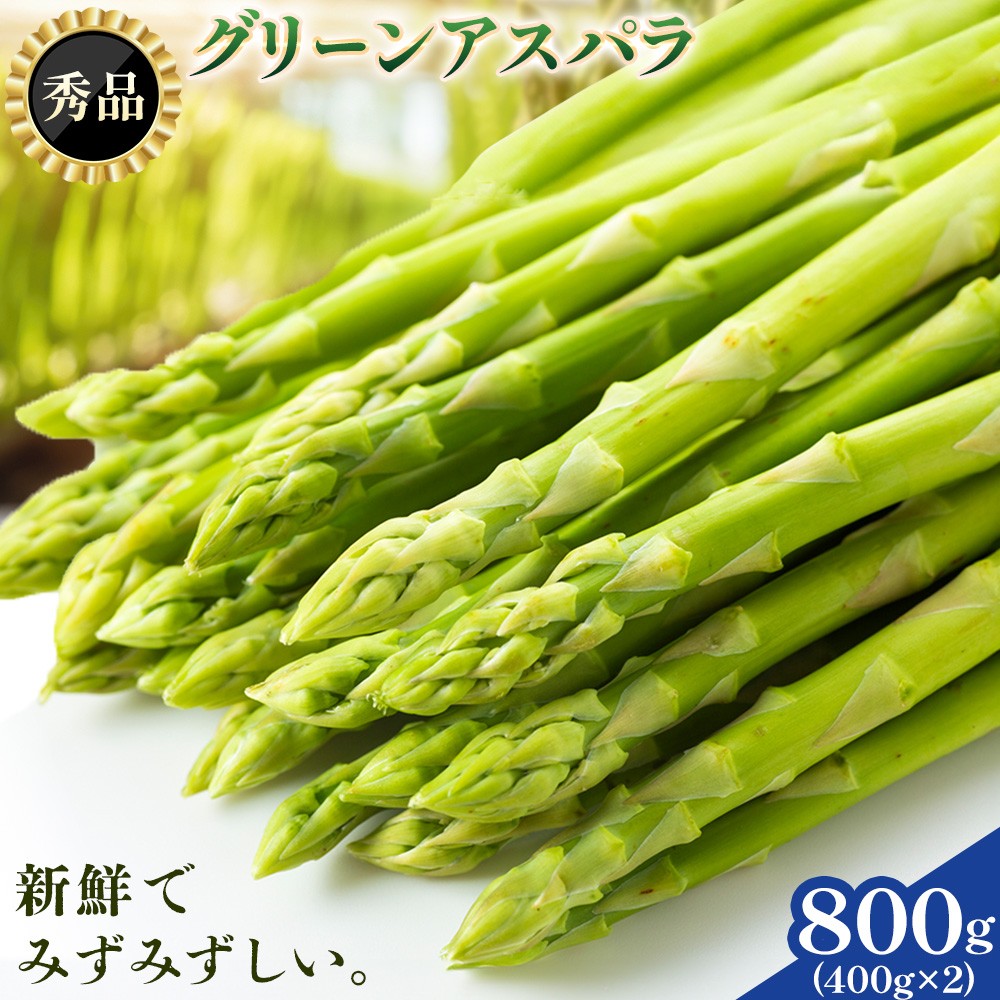 
                  【秀品/2Lサイズ】朝採り グリーンアスパラ 2L サイズ 800g (400g×2)  北海道日高産 JA門別町 産地直送 期間限定：4月上旬-5月末発送 アスパラ 春野菜 極太 鮮度抜群！贅沢な旬の味覚
                