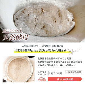6回定期便 天然酵母 食パン 3種セット《国産小麦 無添加 パン セット 朝食 京都 パン 無添加パン 天然酵母パン 国産素材パン 京都パン  食パン おやつ パン》※北海道・沖縄・離島への配送不可 