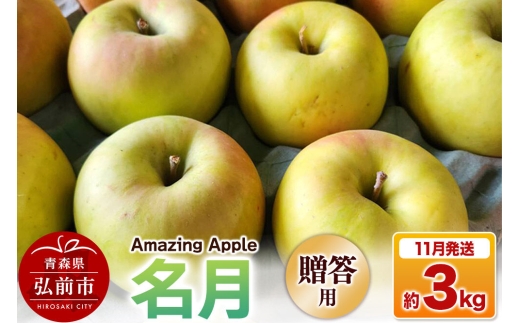 【26年11月下旬発送】りんご 名月【贈答用】約3kg [りんご 名月 3kg アップル おいしい お歳暮 お中元 ギフト プレゼント 果実 果物 贈り物 贈答用 美味 林檎 青森県 弘前市]