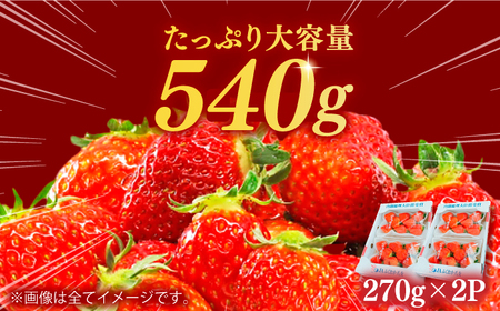 【2025年2月上旬より発送】あまおうG等級 1ケース（270g×2パック） イチゴ いちご 苺 福岡 広川町 / JAふくおか八女農産物直売所どろや[AFAB069]