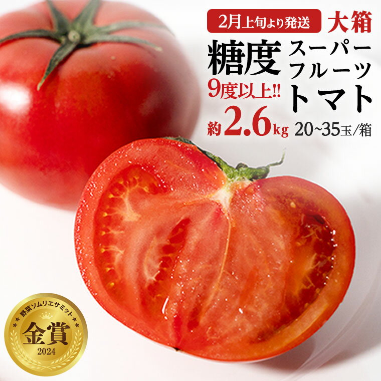 【ふるさと納税】《 テレビで紹介 》糖度9度以上 トマト スーパーフルーツトマト 大箱 約2.6kg（20〜35玉/1箱） とまと 野菜 アド街ック天国 アド街 グッドモーニング 黄金のワンスプーン 王様のブランチ