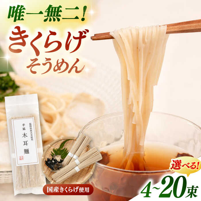 【ふるさと納税】きくらげ麺 4束 or 20束▼ キクラゲ 生木耳 日本産 キクラゲ 麺類 きくらげ きのこ 国産 桂川町/オドラ株式会社[ADBA012]
