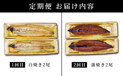 ＜2026年4月配送開始／定期便2回＞ うなぎ 蒲焼き 白焼き 食べ比べセット 計800g (各200g×2尾×2回) 冷蔵 2026年4月配送開始