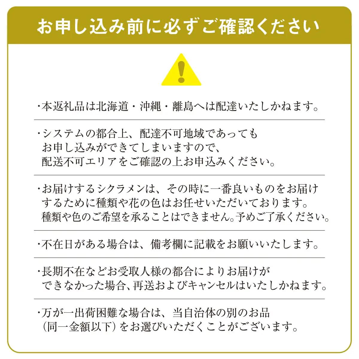 【2026年12月上旬より順次発送！】≪種類・色お任せ≫ シクラメン 5号鉢×2鉢 / シクラメン 花 お祝い 鉢植え 生花 ギフト プレゼント フラワーギフト 花ギフト クリスマス SMCN002