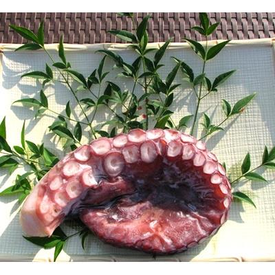 ふるさと納税 宮津市 届いてビックリ!丸々太ったボイルダコ　足1本