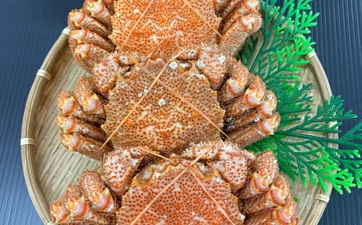 
            D-66013 【12/10まで年内配送】【北海道根室産】毛蟹600g×3尾 
          