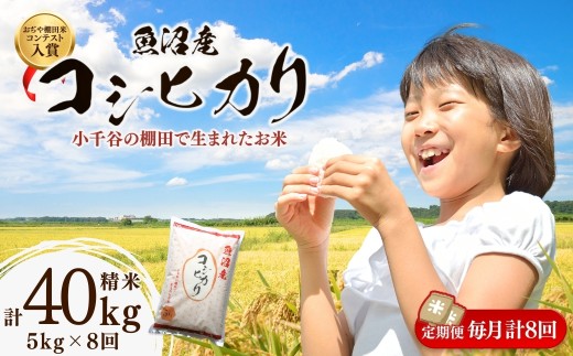 【8か月定期便 コシヒカリ】令和8年産 新米予約 魚沼産コシヒカリ 棚田米 合計40kg（5kg×毎月お届け全8回）棚田米コンテスト入賞 | 魚沼産こしひかり 魚沼コシヒカリ 新潟県産コシヒカリ 新潟産コシヒカリ こしひかり 棚田米 天水田 お米 米 白米 精米 コメ 5キロ 定期便 にいがた おぢや 新潟県 小千谷市 【0002-RC14DB00】