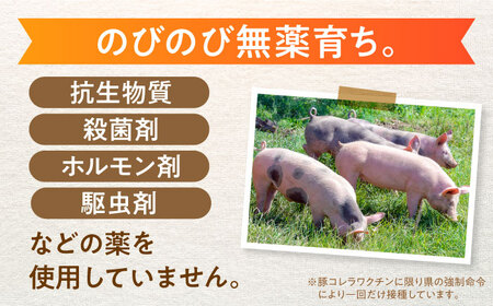 【12回定期便】あんしん豚 バラ凍結 ミンチ＆小間セット 豚肉 小分け 国産 白川町 / 藤井ファーム[AWAF021]
